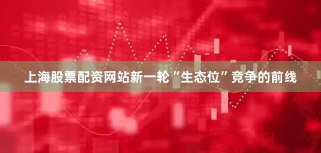上海股票配资网站新一轮“生态位”竞争的前线
