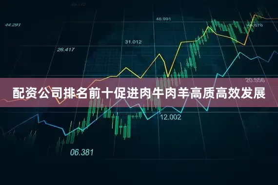 配资公司排名前十促进肉牛肉羊高质高效发展
